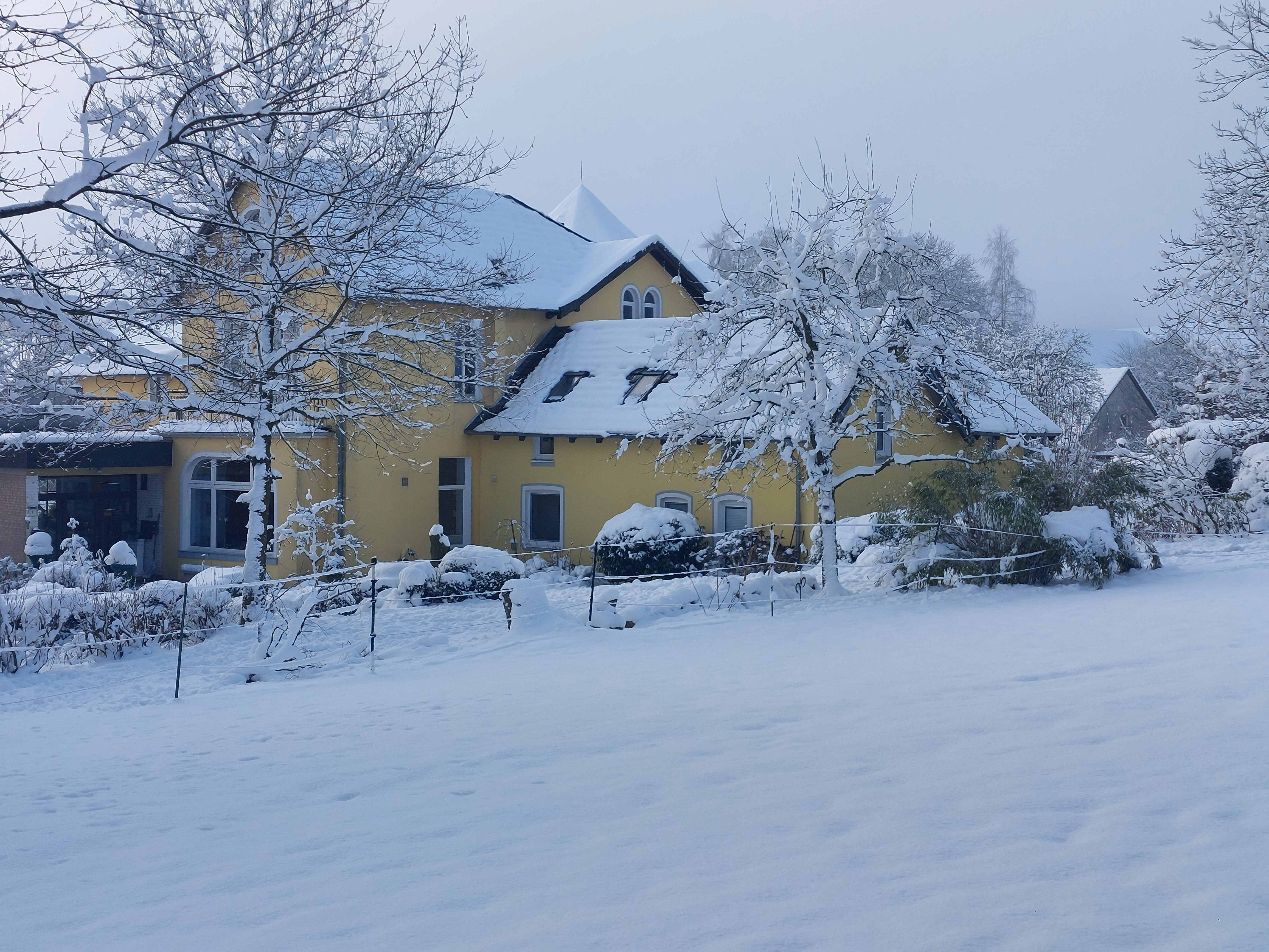 Niedermeien Winter Gartenseite